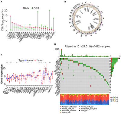 Comprehensive Analysis of N6-methyladenosine Modification Patterns Associated With Multiomic Characteristics of Bladder Cancer